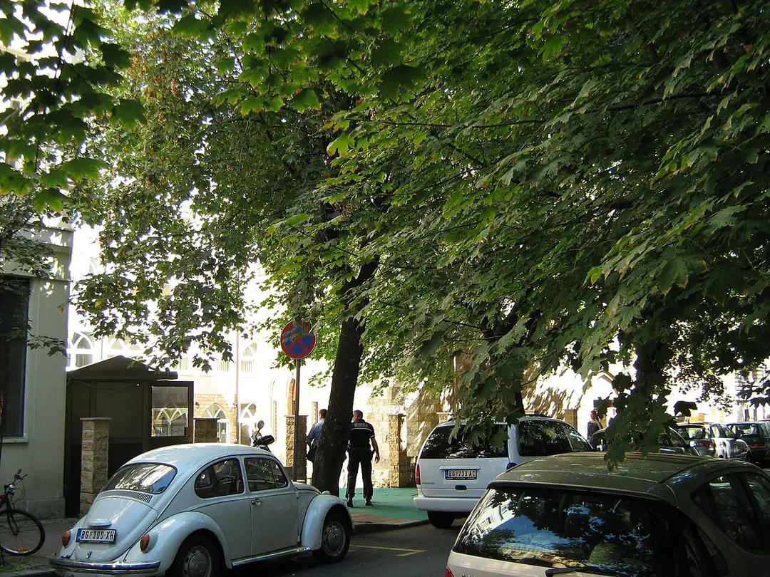 A shady Dorćol street with the arched façade of the Bajrakli Mosque behind trees and parked cars