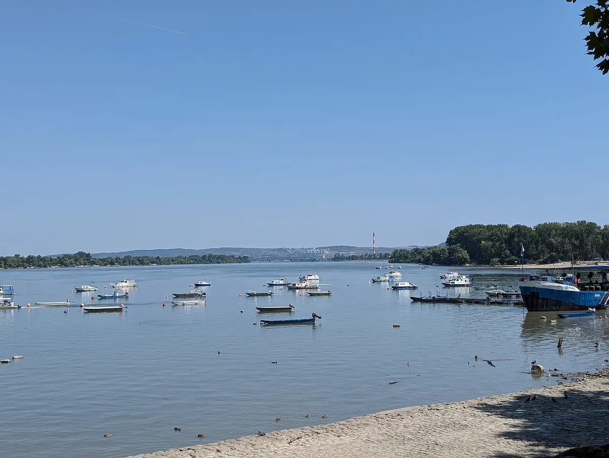 Small boats moored on the Danube at Zemun with the riverbank behind