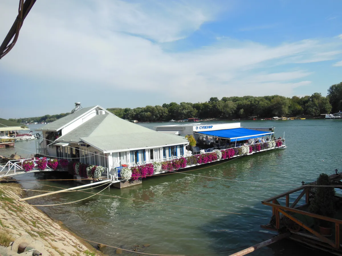 A single splav moored on the Sava with an awning, flower boxes and an open terrace deck over the water