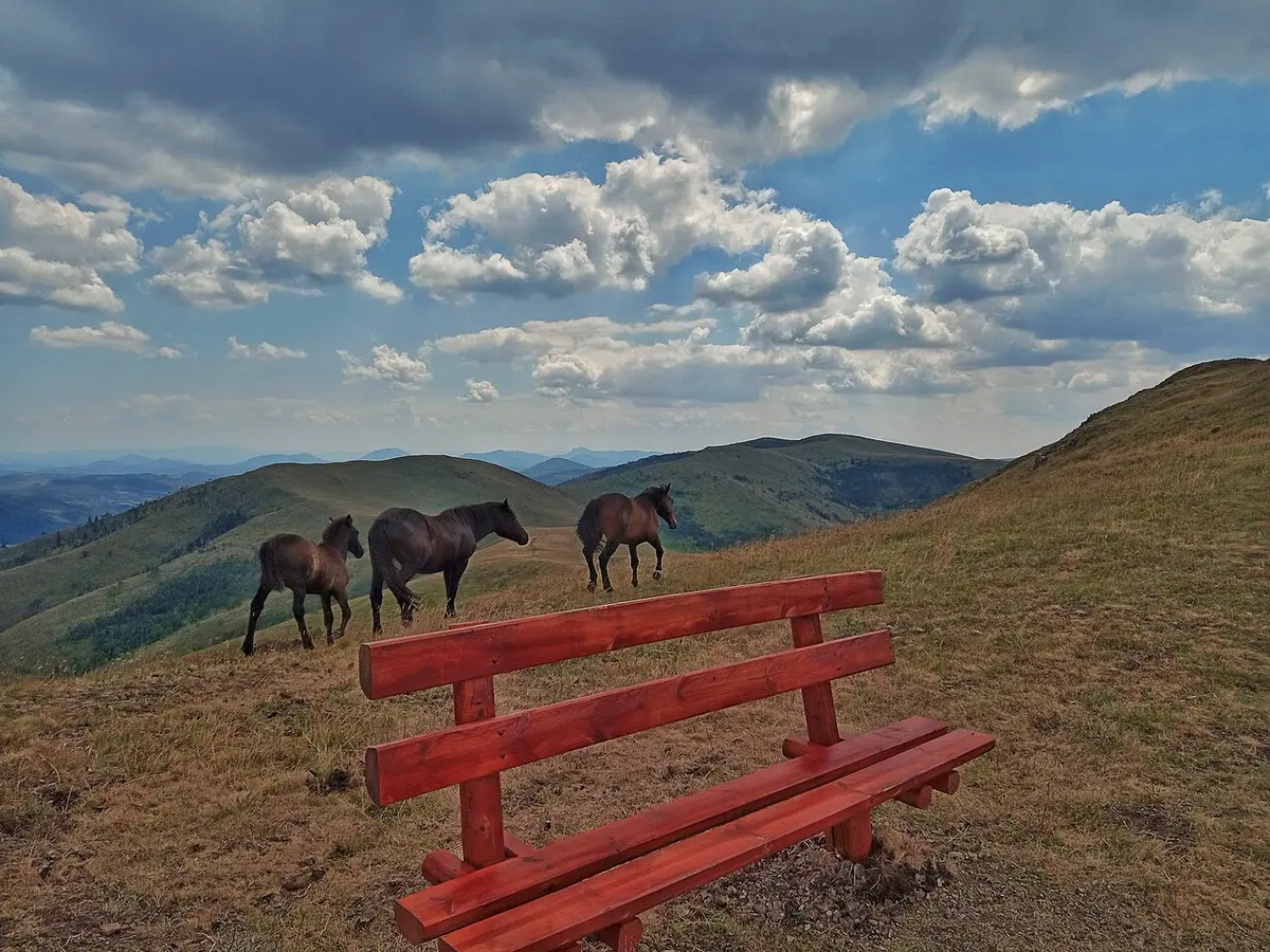 The rolling green highland scenery of Zlatibor mountain in western Serbia
