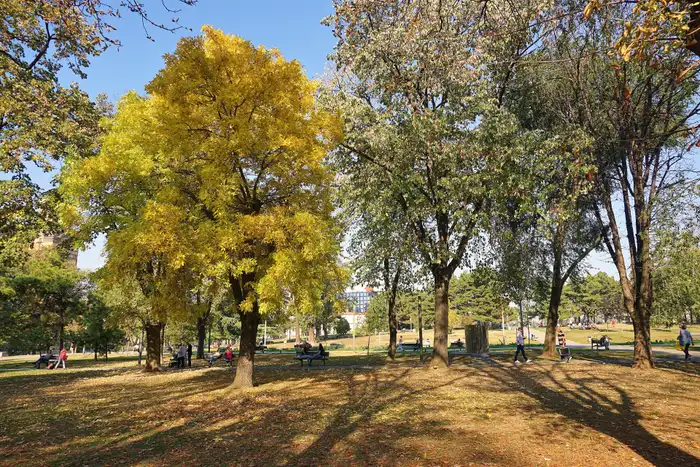 Autumn trees and benches in Tasmajdan park in the Vracar district of Belgrade