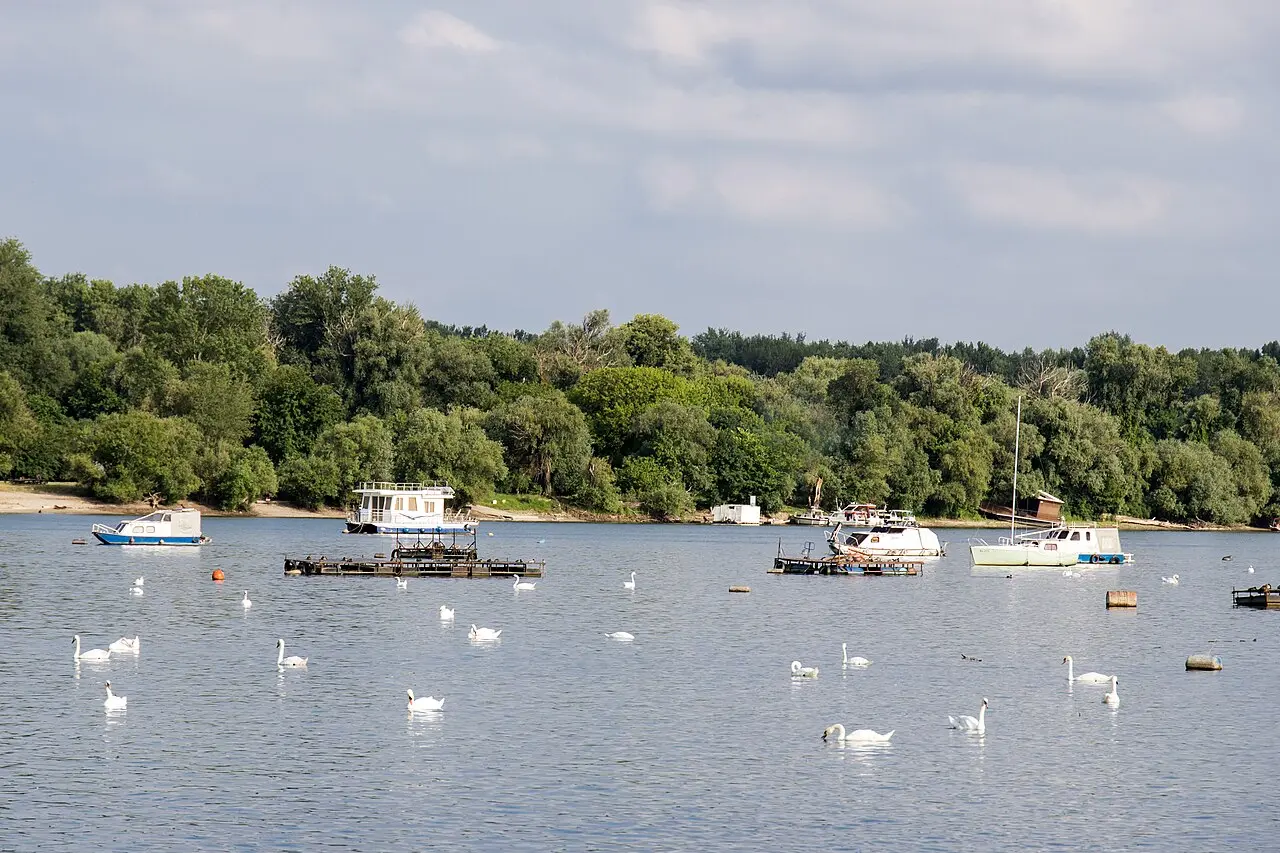 The Danube at Zemun with Belgrade skyline across the water, typical city cruise scenery