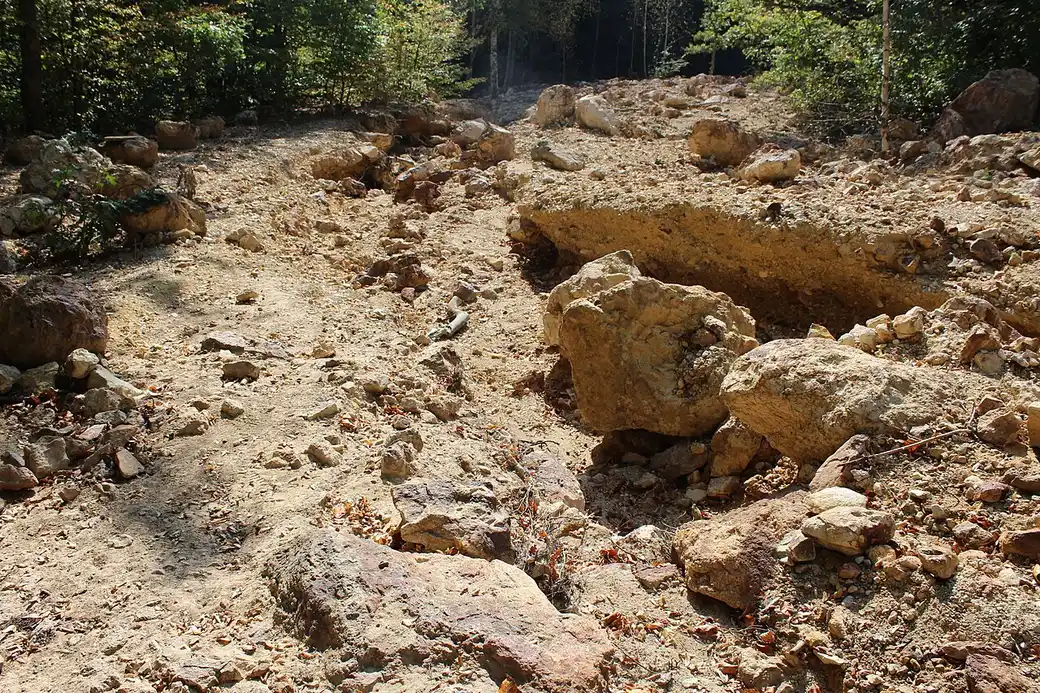 A cluster of tall pale earth pyramids at Đavolja Varoš, each topped with a dark stone cap, rising from a forested ravine