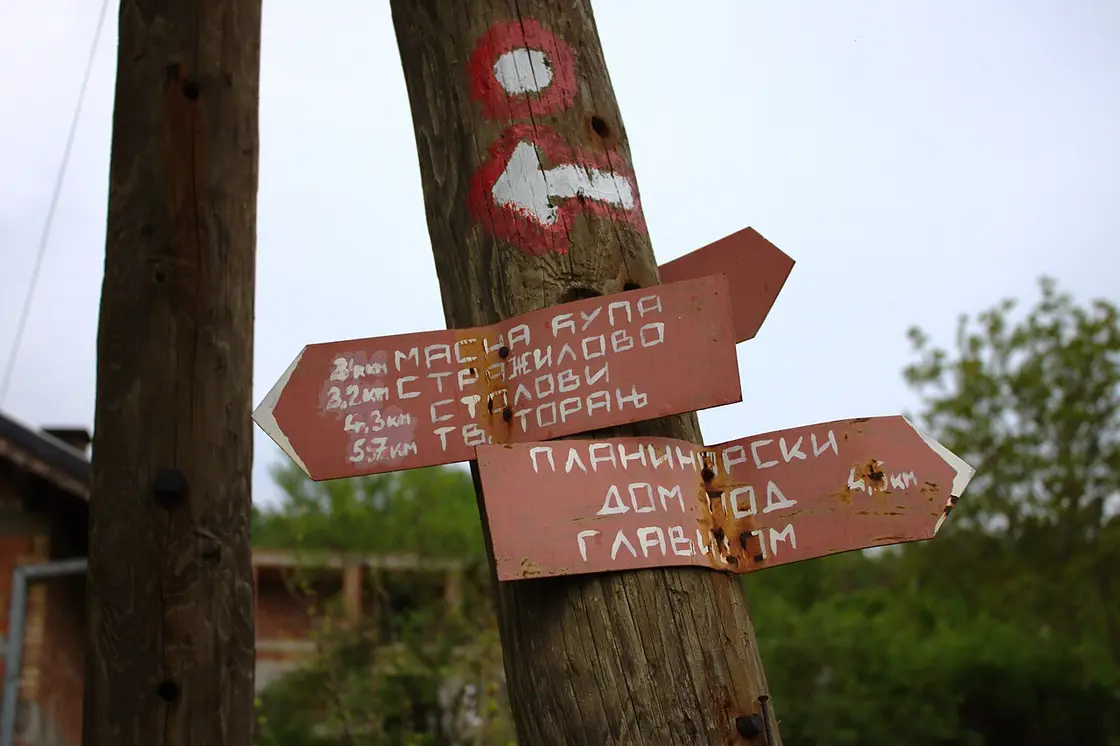 A waymarked forest walking trail through the woods near Bukovac on Fruška Gora