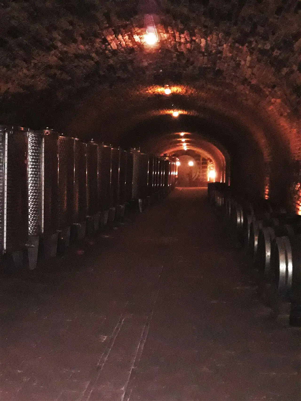 Wooden barrels in the underground cellar of Bajilo winery in Sremski Karlovci