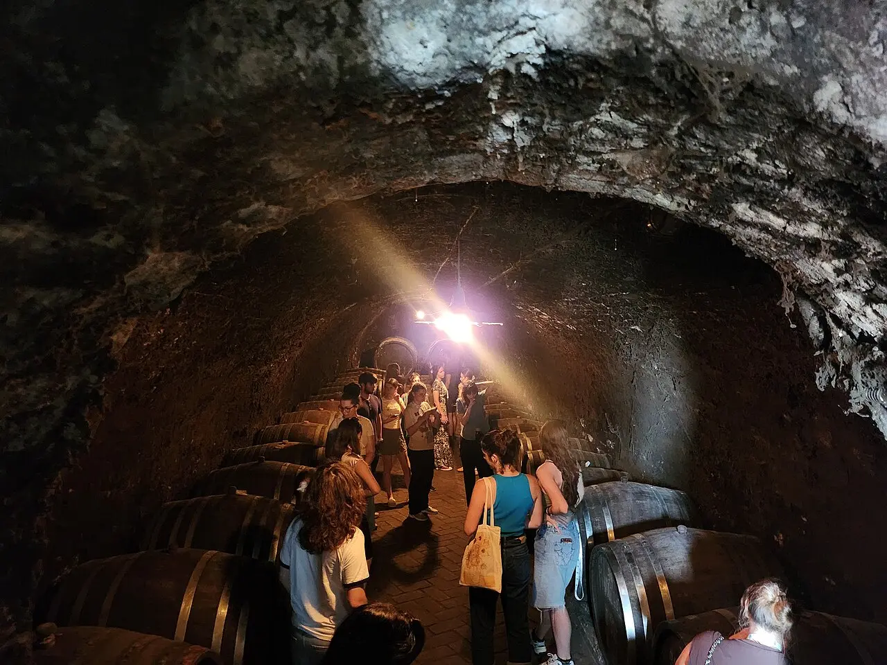 Tour group among barrels in the Zivanovic lagum in Sremski Karlovci