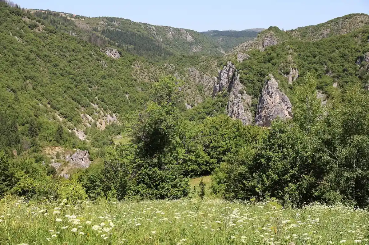 The entrenched horseshoe meanders of the Uvac river between white limestone cliffs