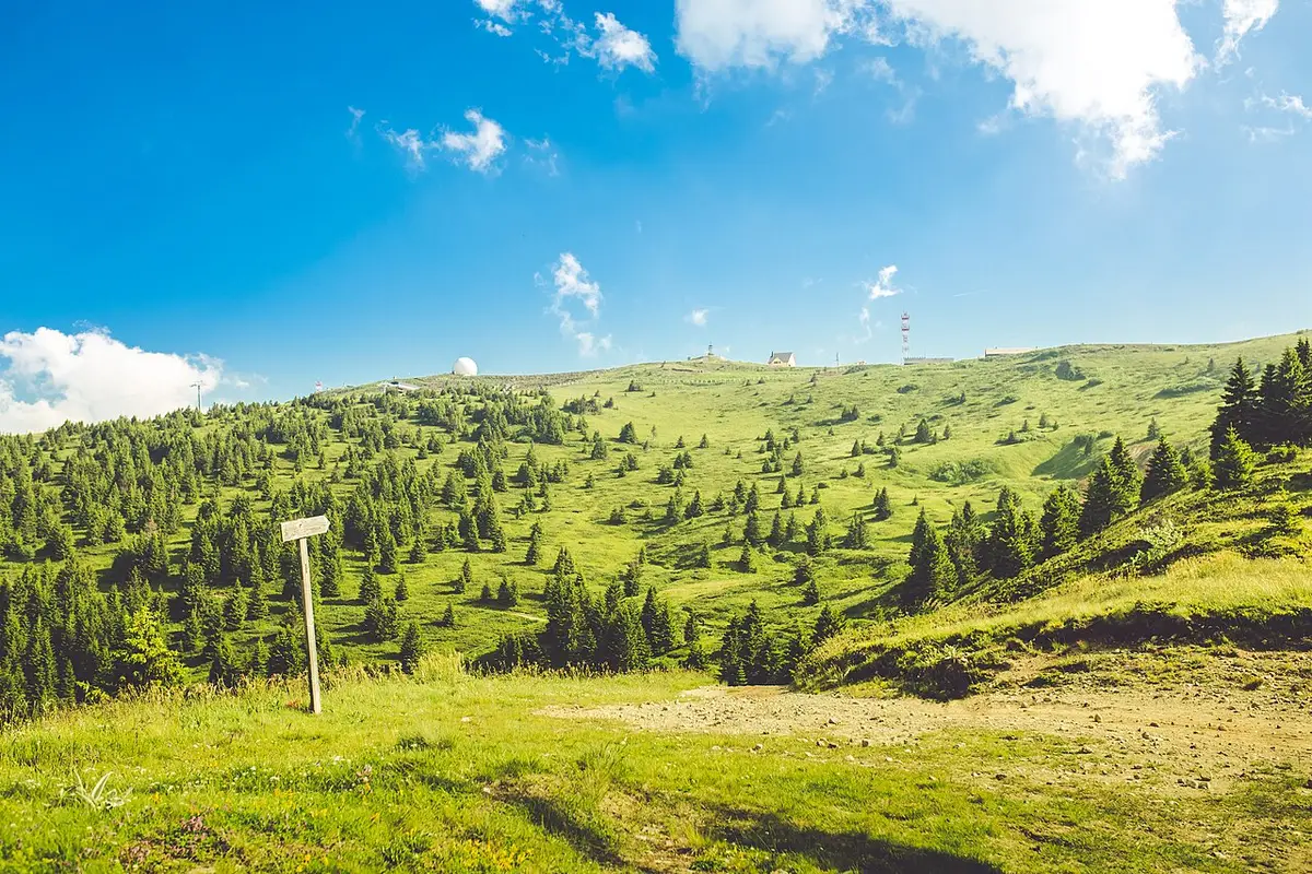 The green summer plateau of Kopaonik with scattered pines, a trail signpost and the summit domes on the ridge