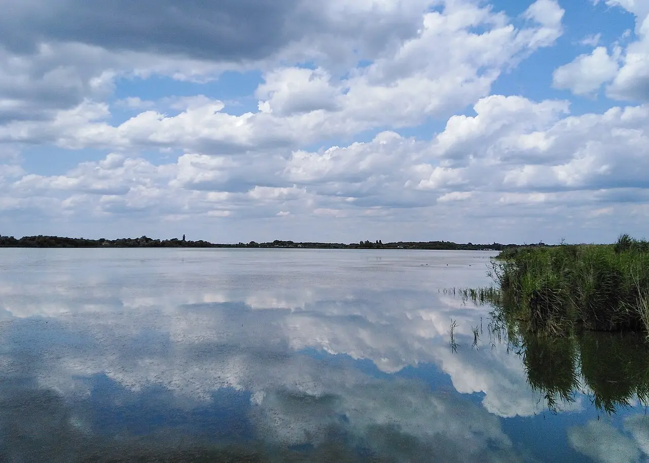 Wide view of Lake Palic with clouds reflected in pale green water and reeds along the near shore