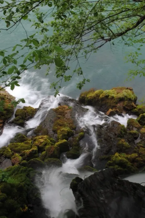 The short Vrelo stream tumbling over mossy rocks toward the Drina near Perućac