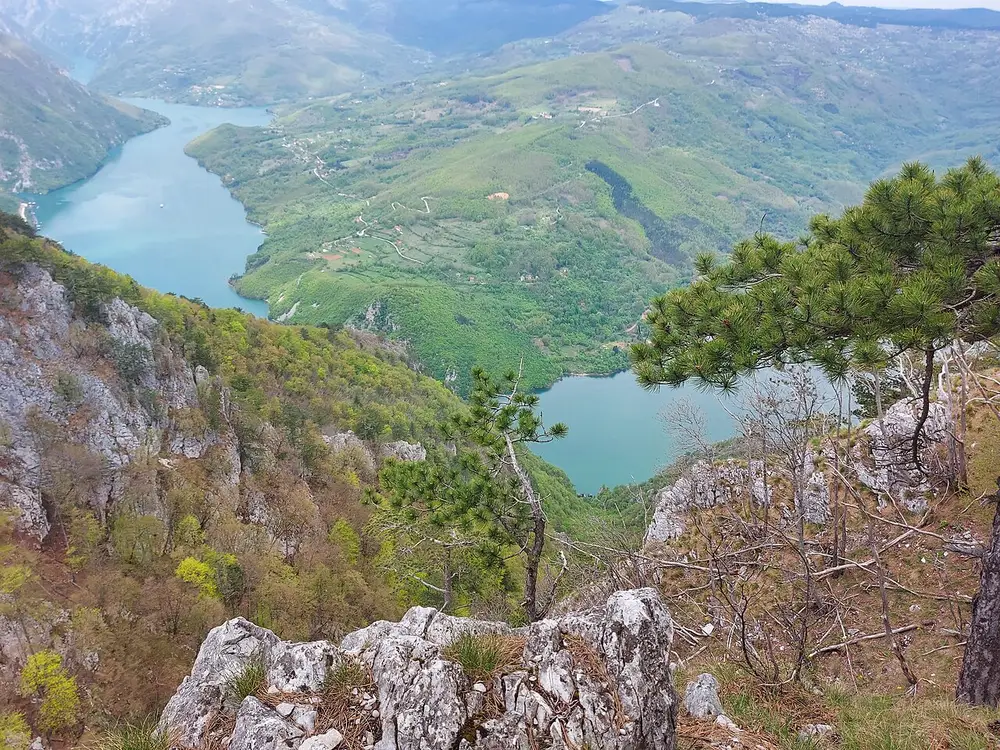 The Drina canyon and Lake Perućac seen from the Banjska Stena viewpoint in Tara National Park