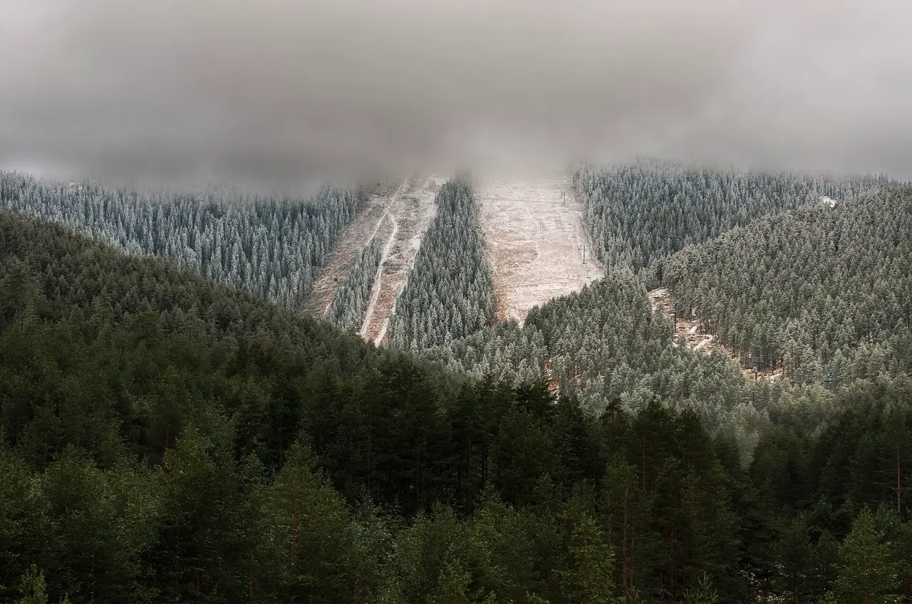 A narrow ski run cut through frost-dusted forest on Tornik above Zlatibor, with cloud sitting low on the ridge