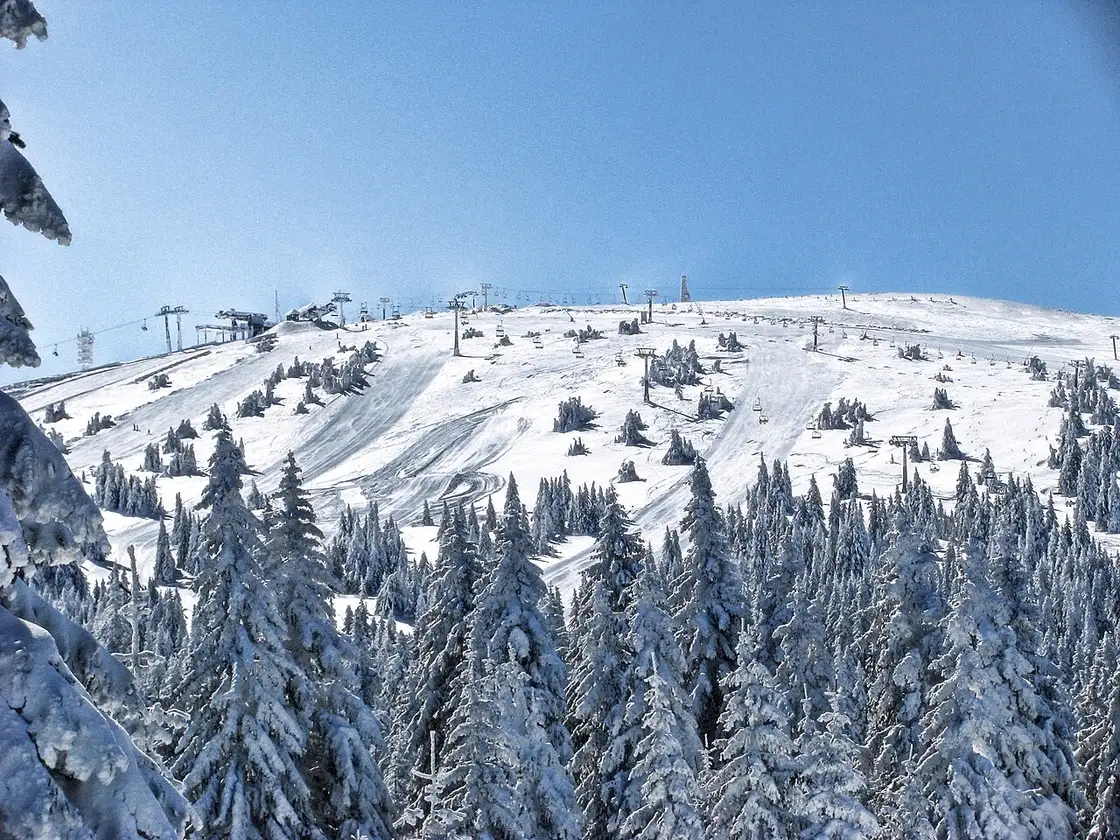 Snow-covered Pancicev vrh on Kopaonik under a clear winter sky