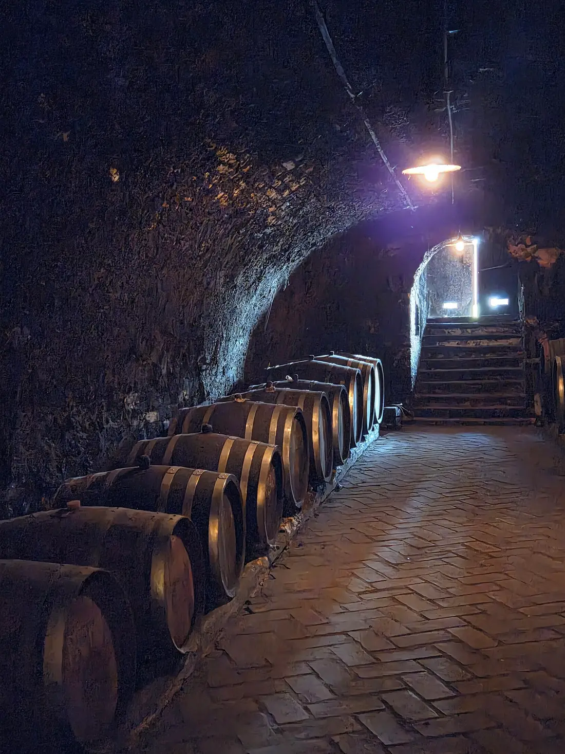 Wooden barrels in the wine cellar of the Zivanovic beekeeping and wine museum in Sremski Karlovci
