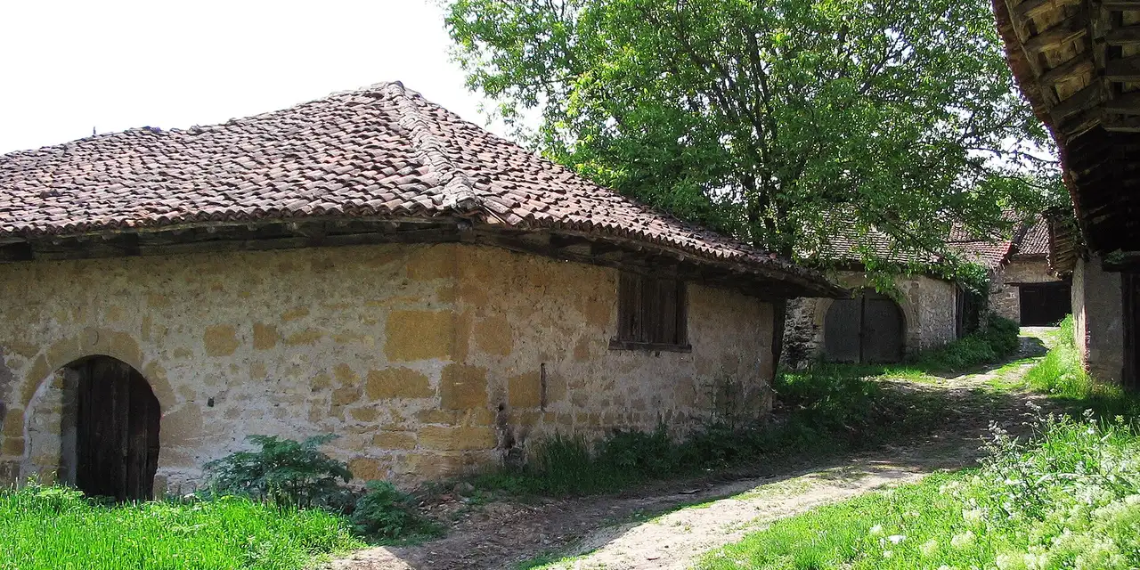 A wide view of the stone wine-cellar houses at Rajacke pivnice in eastern Serbia