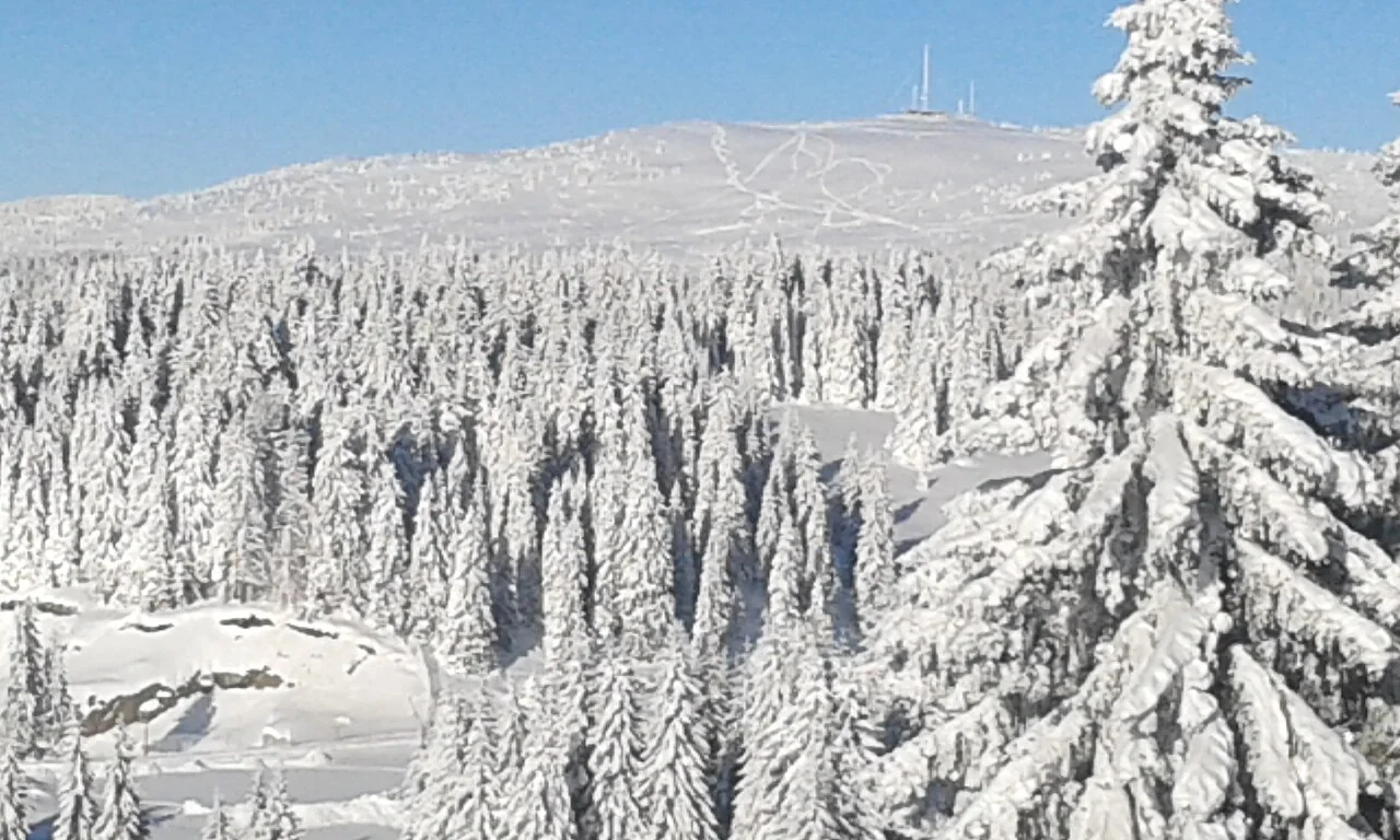 A wide winter view of Kopaonik with ski piste tracks carved into the snow-covered mountain under a clear blue sky