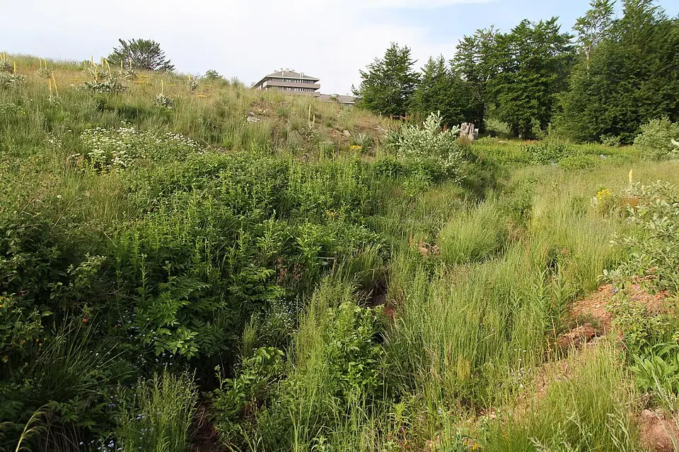 A hotel building above a wildflower meadow at Jabučko Ravnište, one of the Stara Planina ski sectors, in summer