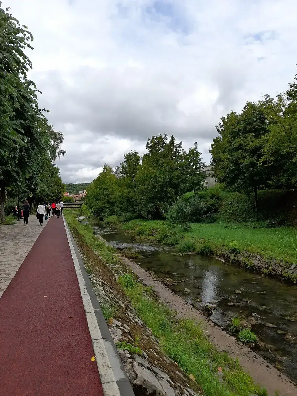 The Moravica river flowing through Sokobanja with trees along the banks