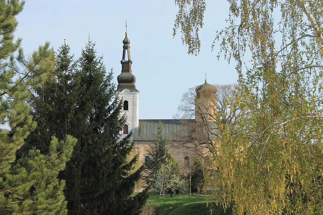The white bell tower and dark dome of Šišatovac monastery among trees on the south side of Fruška Gora