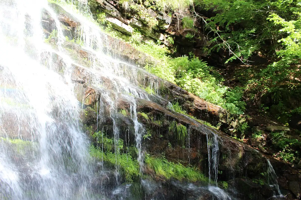 Water sliding over the mossy, reddish rock of the Tupavica waterfall near Dojkinci on Stara Planina