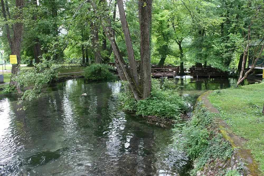The short Vrelo river running over mossy cascades through the woods near Perućac