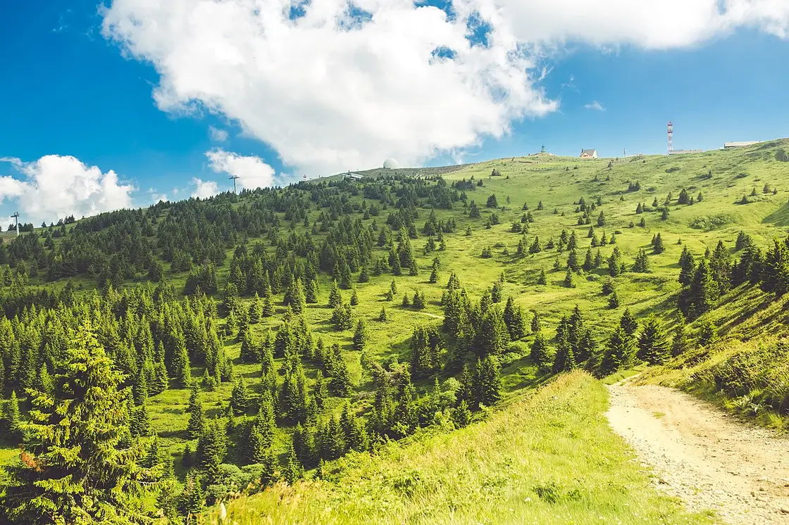 The green summer plateau of Kopaonik with scattered spruces, a chairlift line and the summit installations on the ridge