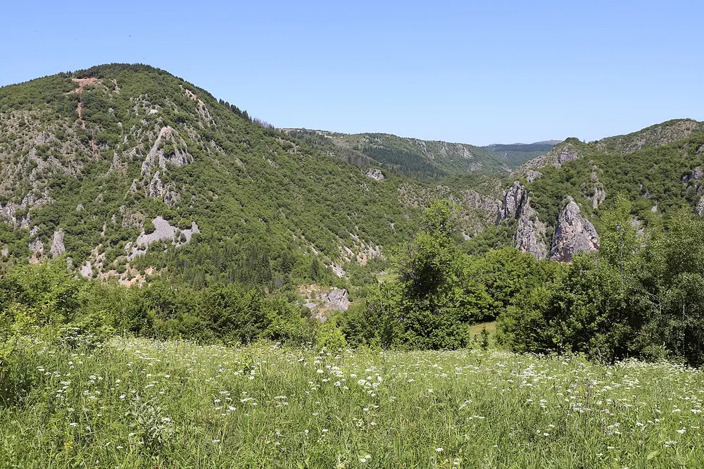 Wooded limestone crags and a wildflower meadow inside the Uvac canyon nature reserve in summer