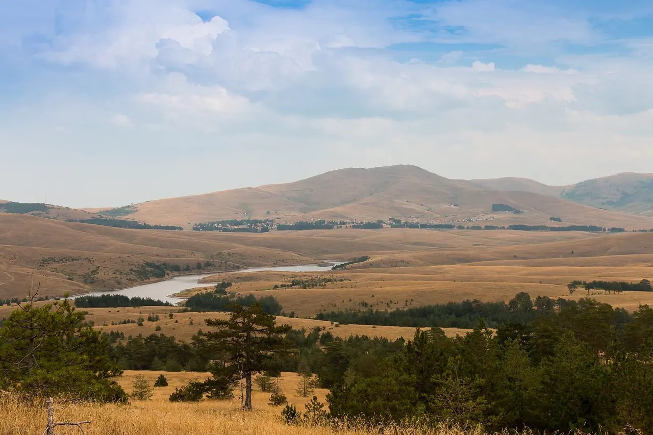 The rolling grassland and pine belts of the Zlatibor plateau with a small lake in the middle distance