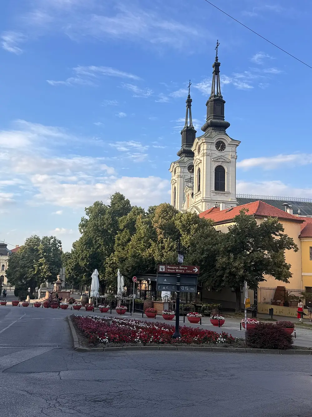 The twin-towered Orthodox cathedral above the main square of Sremski Karlovci at golden hour