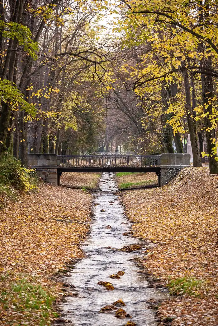 Autumn colours over the tree-lined promenade in the spa park at Vrnjacka Banja