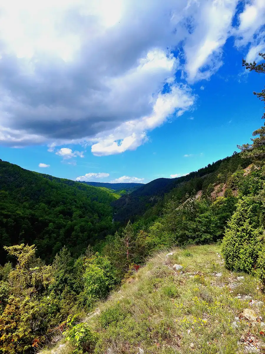 A view over forested hills from Goc mountain above Vrnjacka Banja