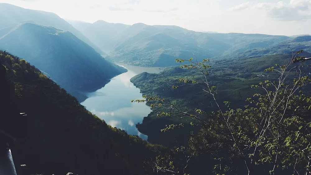 The emerald Drina winding through steep forested mountains, seen from a viewpoint high on the Tara plateau with foliage in the foreground