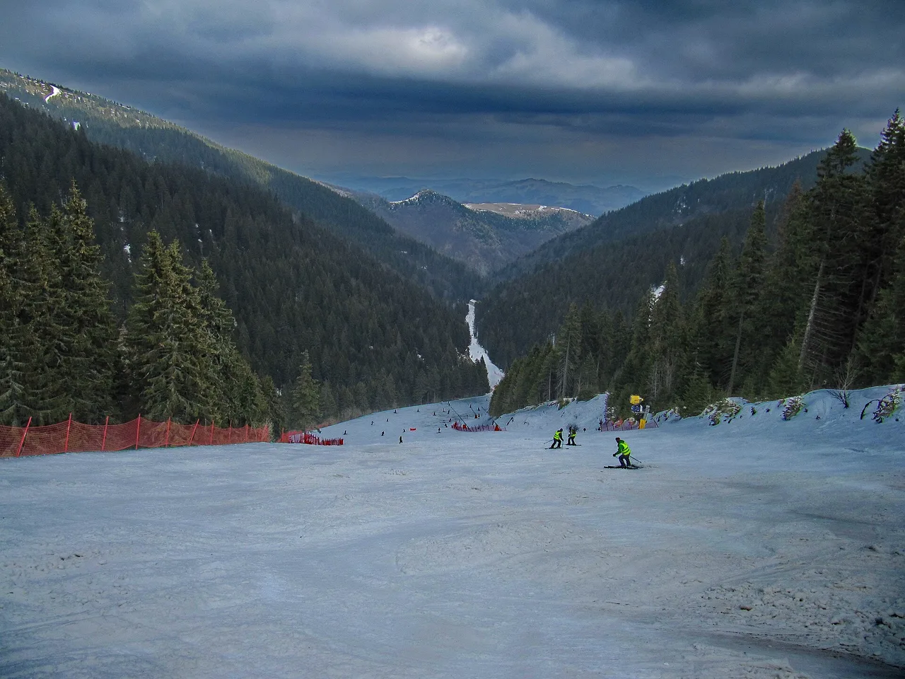 A wide piste dropping away into a forested valley on the Brzece side of Kopaonik