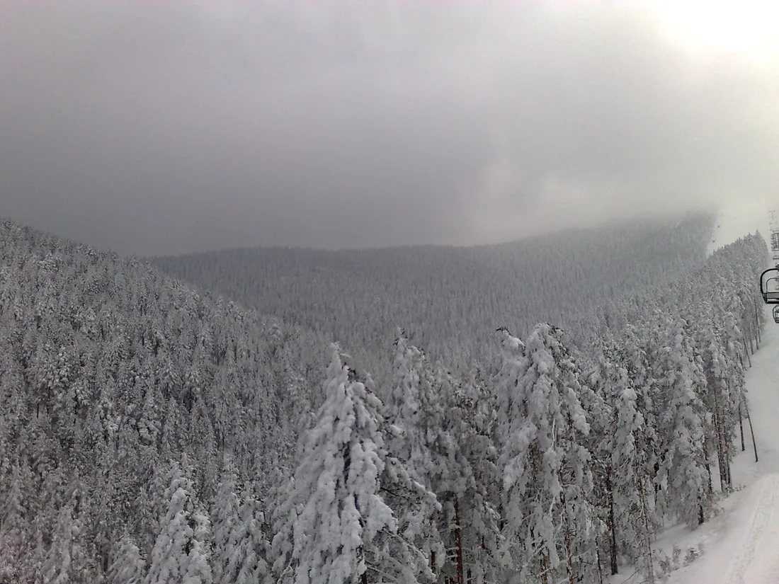 A snowy forested ski slope with a chairlift on Tornik above Zlatibor in winter
