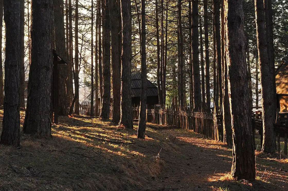 A timber house and outbuildings inside the Old Village open-air museum at Sirogojno